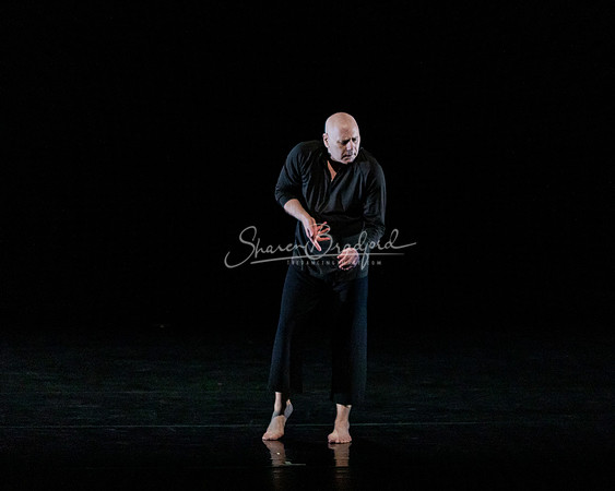 Nocturne pc Sharen Bradford-0754