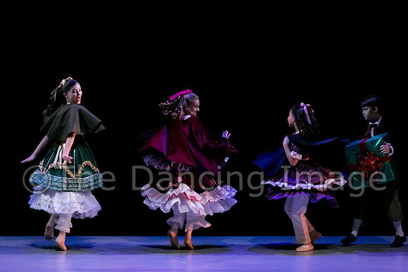 Nutcracker Sat-2746