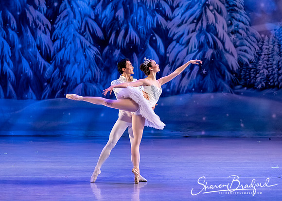 CCBT Nutcracker 19 pc Sharen Bradford-4823