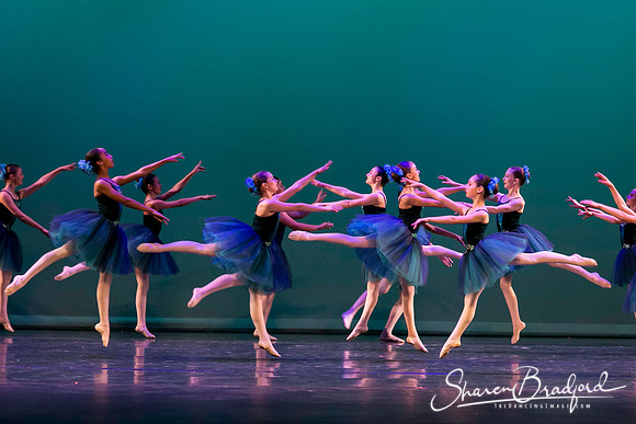Khachaturian Waltz pc Sharen Bradford-3678