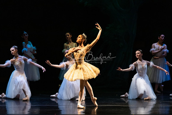 Ballet NTX Sleeping Beauty pc Sharen Bradford-1359