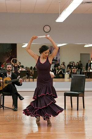 Flamenco-2-48