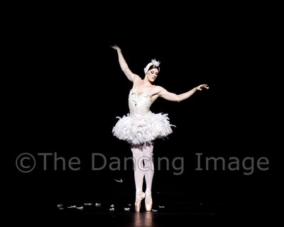 Dying Swan-0493