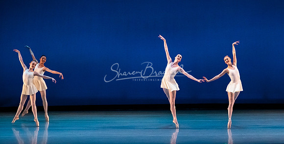 ACB Concerto Barocco pc Sharen Bradford-0134