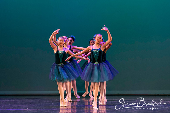 Khachaturian Waltz pc Sharen Bradford-3698
