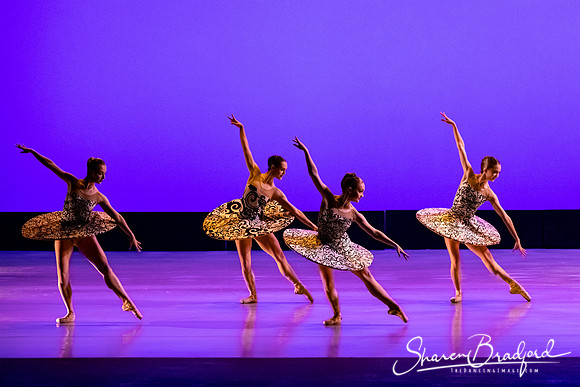 Ballet 37 pc Sharen Bradford-0376