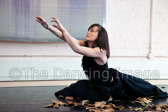 Surrender Emily Hunter 2011 pc Sharen Bradford-0117