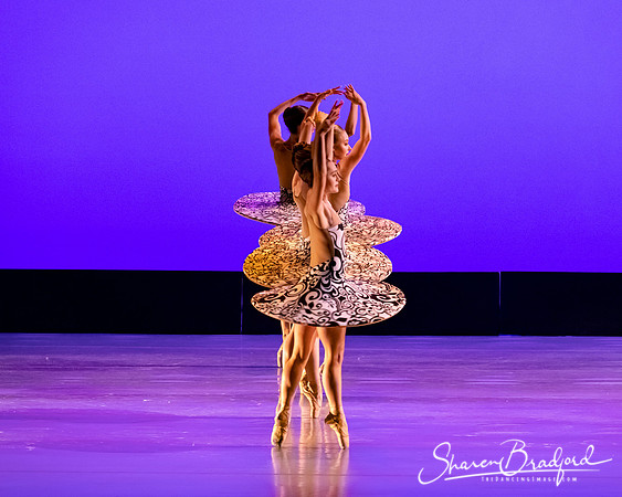 Ballet 37 pc Sharen Bradford-0289
