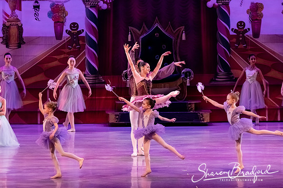CCBT Nutcracker 19 pc Sharen Bradford-5366