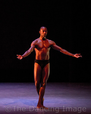 Alvin Ailey ADT-2299