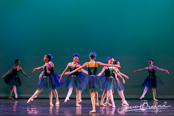 Khachaturian Waltz pc Sharen Bradford-3663