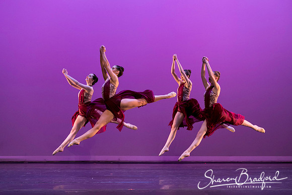 Paradox of Love pc Sharen Bradford-4836