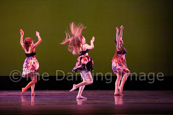 Bay Area Houston Ballet-1051