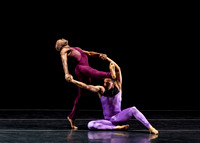 DBDT Execution of a Sentiment pc Sharen Bradford-0959