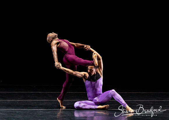 DBDT Execution of a Sentiment pc Sharen Bradford-0959
