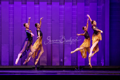Two Fleeting Daydreams pc Sharen Bradford-0538