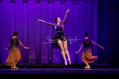 Two Fleeting Daydreams pc Sharen Bradford-0523