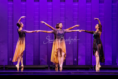 Two Fleeting Daydreams pc Sharen Bradford-0513