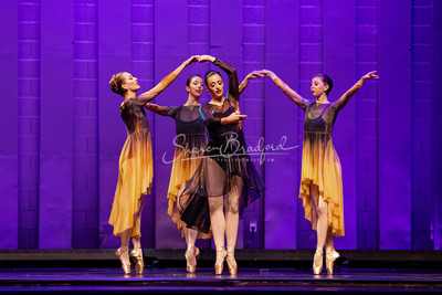 Two Fleeting Daydreams pc Sharen Bradford-0500