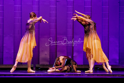 Two Fleeting Daydreams pc Sharen Bradford-0492