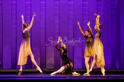 Two Fleeting Daydreams pc Sharen Bradford-0491