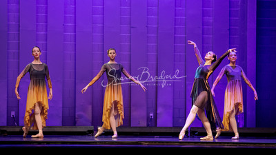 Two Fleeting Daydreams pc Sharen Bradford-0486