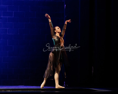 Two Fleeting Daydreams pc Sharen Bradford-0439