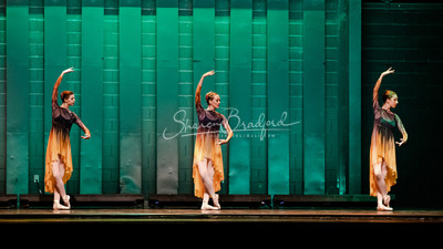 Two Fleeting Daydreams pc Sharen Bradford-0432