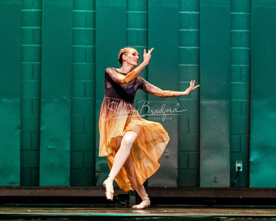 Two Fleeting Daydreams pc Sharen Bradford-0429