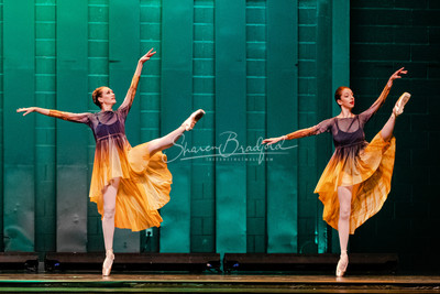 Two Fleeting Daydreams pc Sharen Bradford-0427