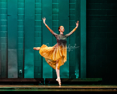 Two Fleeting Daydreams pc Sharen Bradford-0423