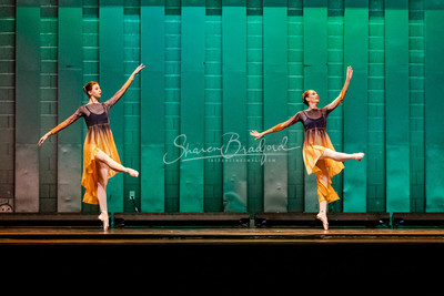 Two Fleeting Daydreams pc Sharen Bradford-0418
