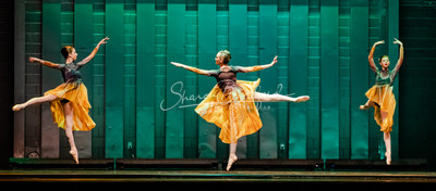 Two Fleeting Daydreams pc Sharen Bradford-0412