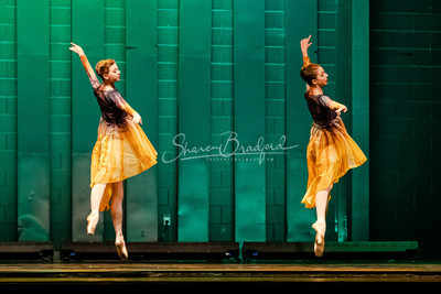 Two Fleeting Daydreams pc Sharen Bradford-0406