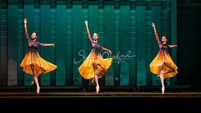 Two Fleeting Daydreams pc Sharen Bradford-0404
