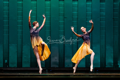 Two Fleeting Daydreams pc Sharen Bradford-0393
