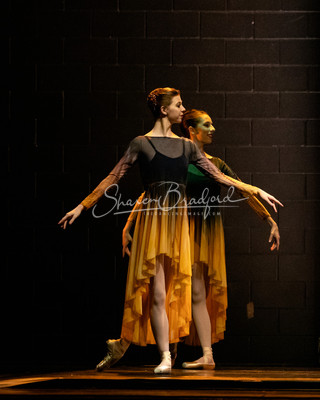 Two Fleeting Daydreams pc Sharen Bradford-0392