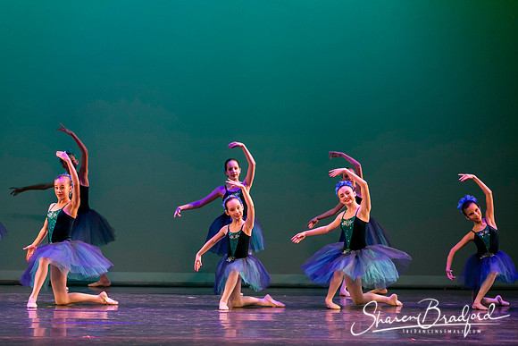 Khachaturian Waltz pc Sharen Bradford-3729