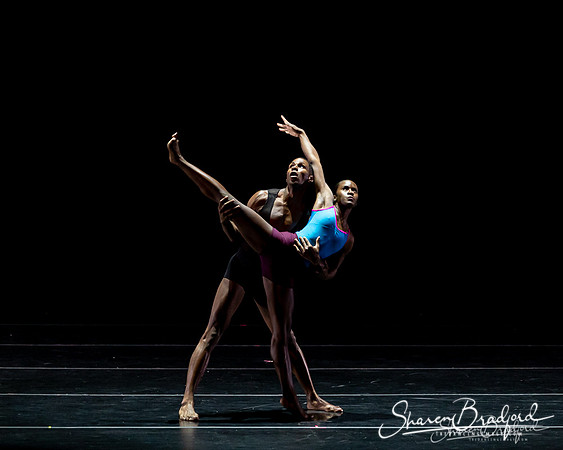 DBDT Execution of a Sentiment pc Sharen Bradford-0890