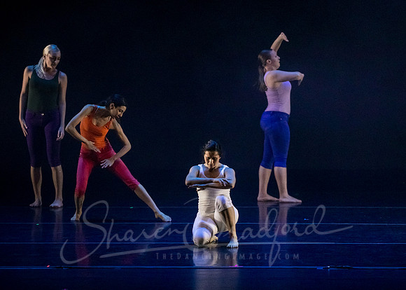 imPULSE dance project pc Sharen Bradford-4185