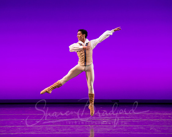 Swan Lake Pas de Trois-3979