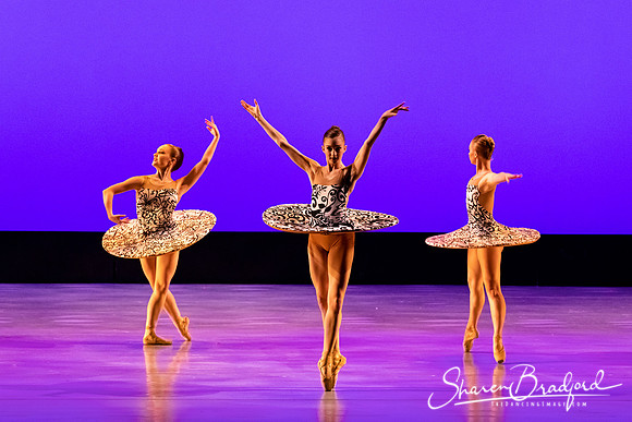 Ballet 37 pc Sharen Bradford-0234