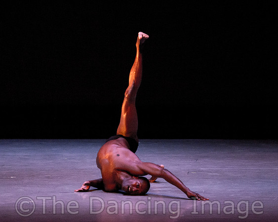 Alvin Ailey ADT-2275