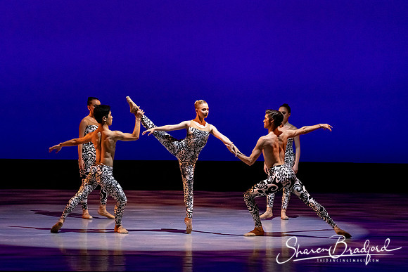 Ballet 37 pc Sharen Bradford-0534