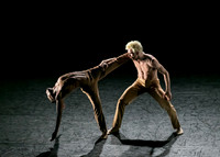 img-1264