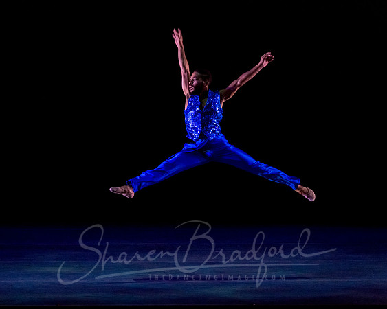 Following Echoes - pc Sharen Bradford-3185