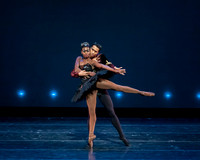Black Swan Pas de Deux