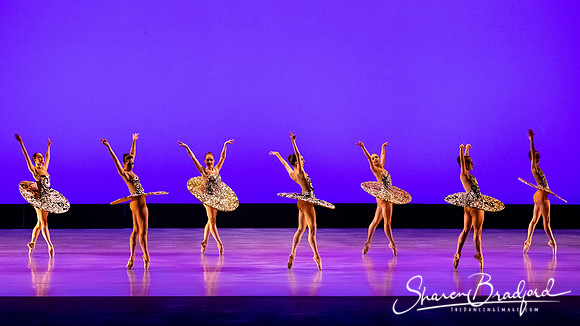Ballet 37 pc Sharen Bradford-0242