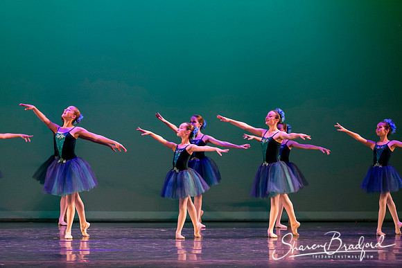 Khachaturian Waltz pc Sharen Bradford-3727
