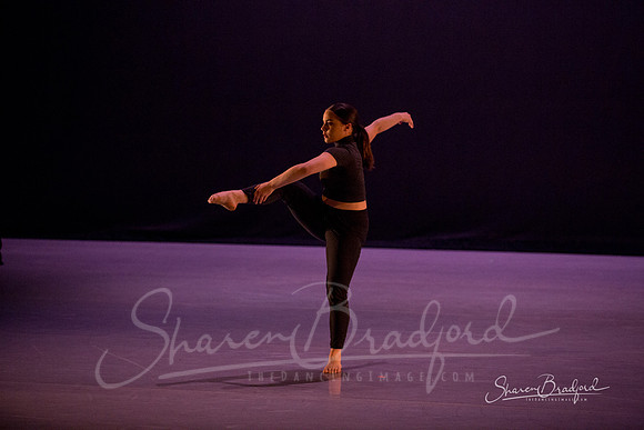 Lingering Shadow pc Sharen Bradford-7080